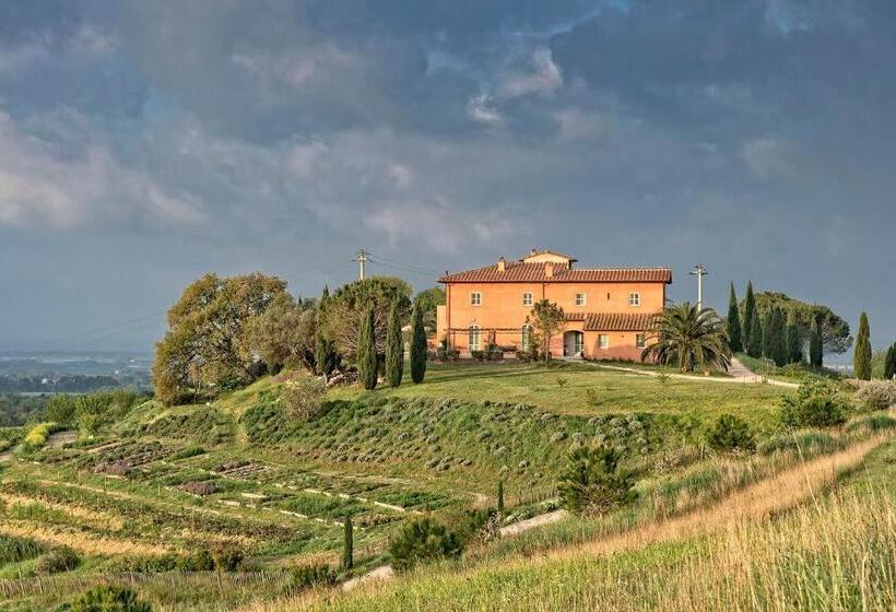 مبيت وإفطار Agriturismo Le Tassinaie