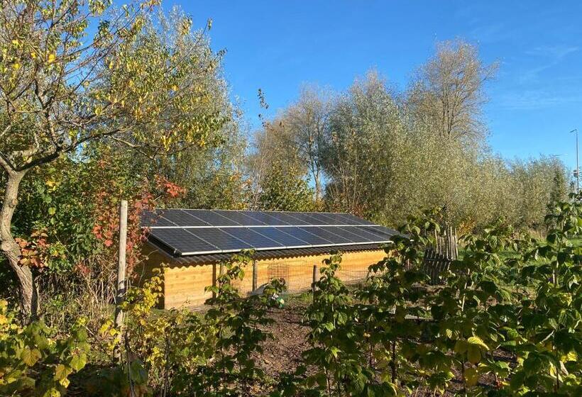 צימר Benbzuiderzee