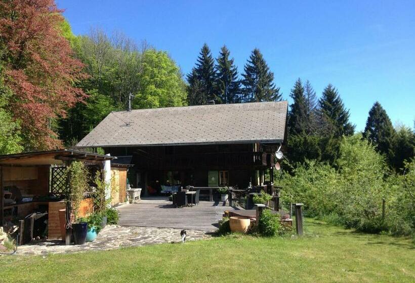 צימר Chalet Ingas