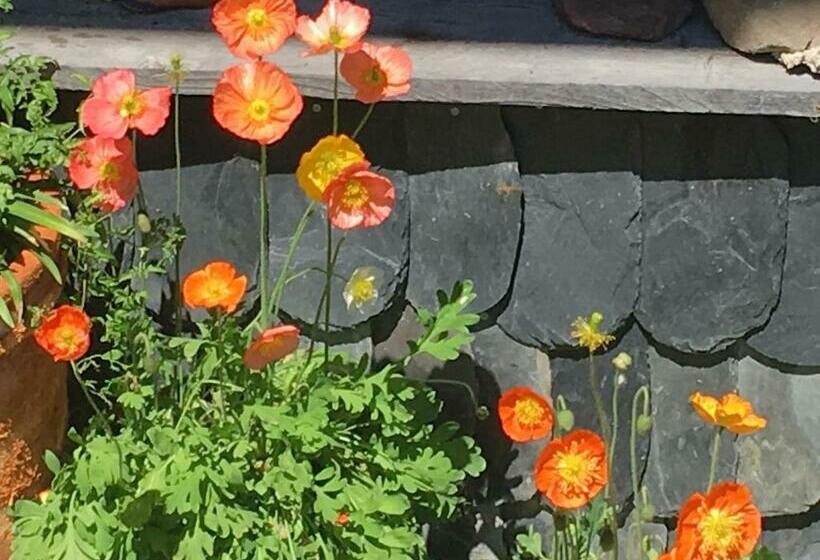 צימר Chalet Ingas