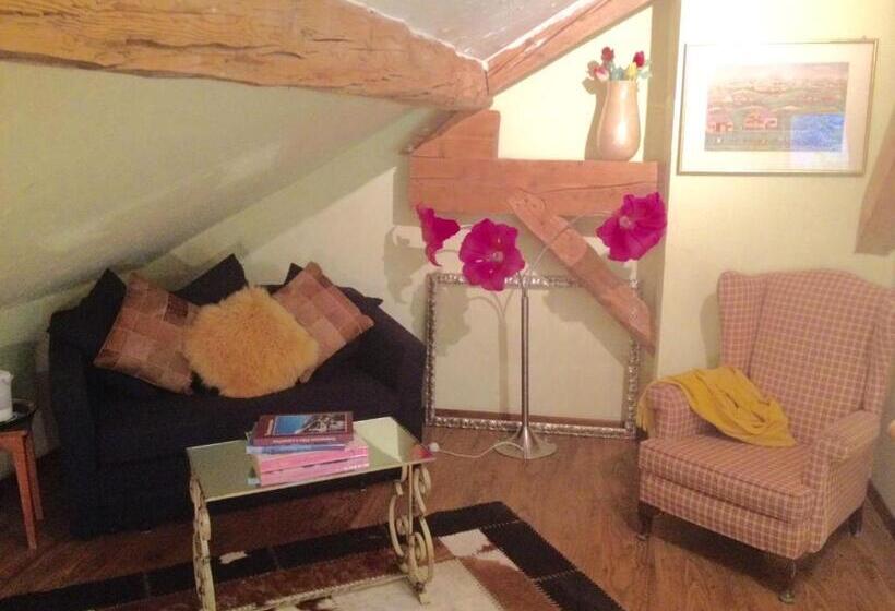 צימר Chalet Ingas