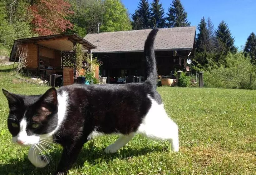 Aamiaismajoitus (B&B) Chalet Ingas