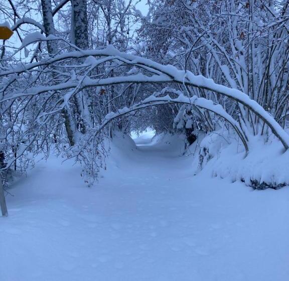 צימר Chalet Ingas