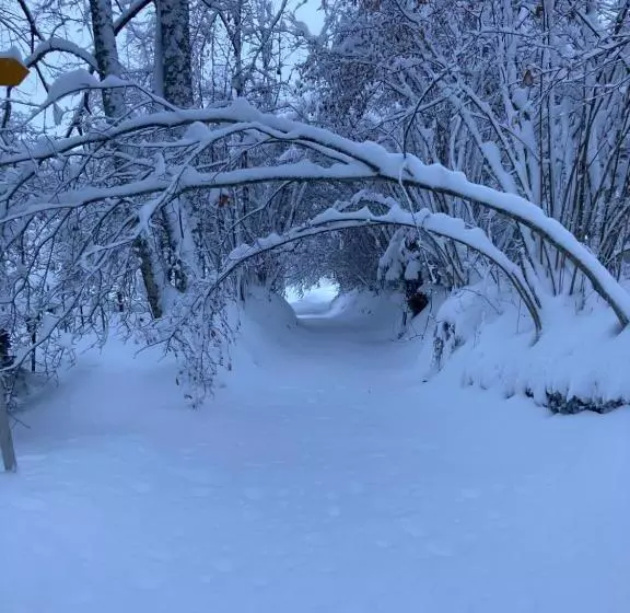 Aamiaismajoitus (B&B) Chalet Ingas