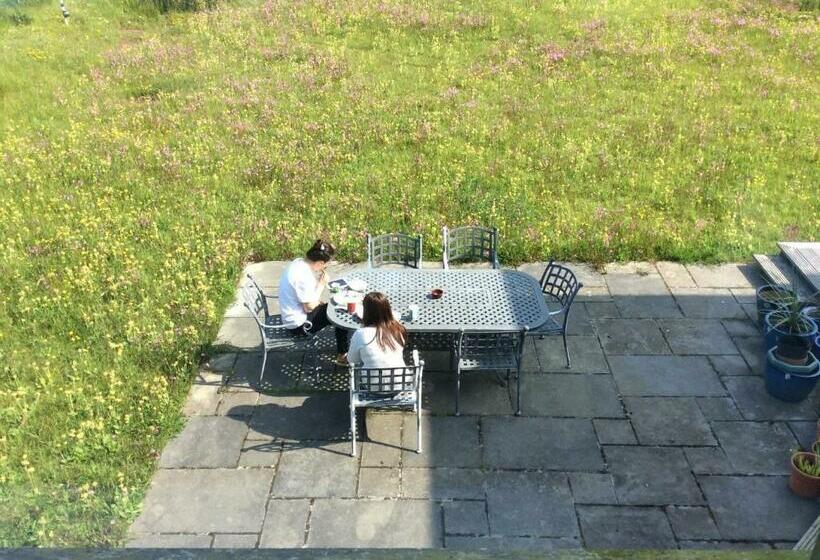 住宿加早餐 Hh Accommodation