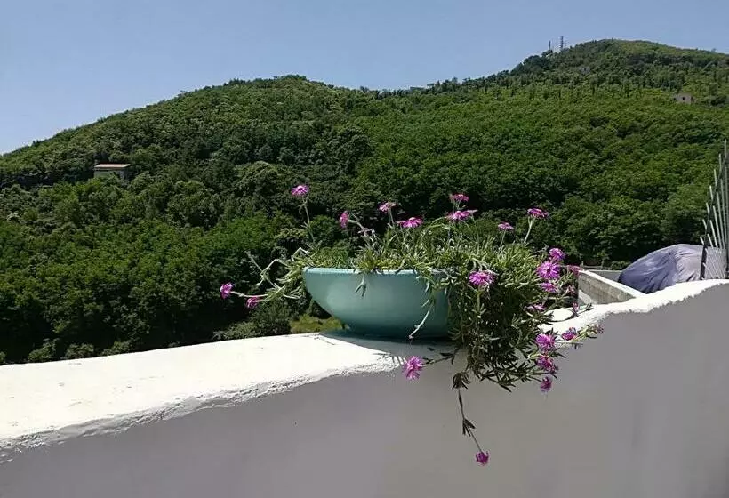 Aamiaismajoitus (B&B) Il Covo Delle Civette