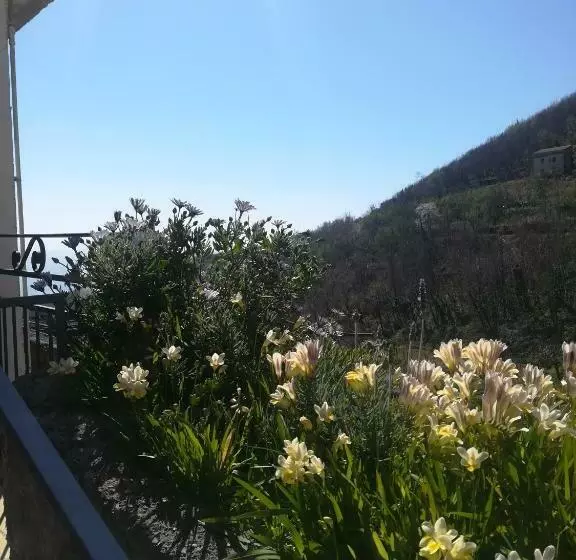 Aamiaismajoitus (B&B) Il Covo Delle Civette