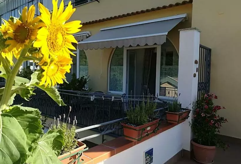 Aamiaismajoitus (B&B) Il Covo Delle Civette