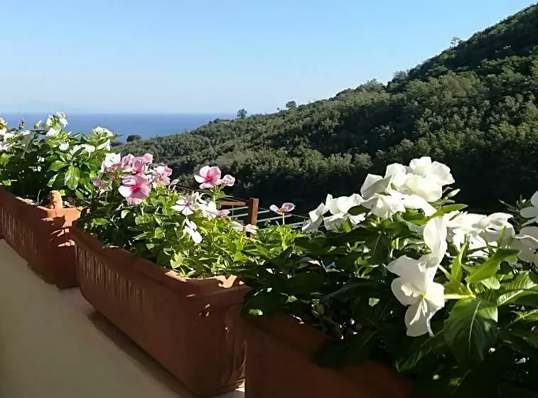 Aamiaismajoitus (B&B) Il Covo Delle Civette