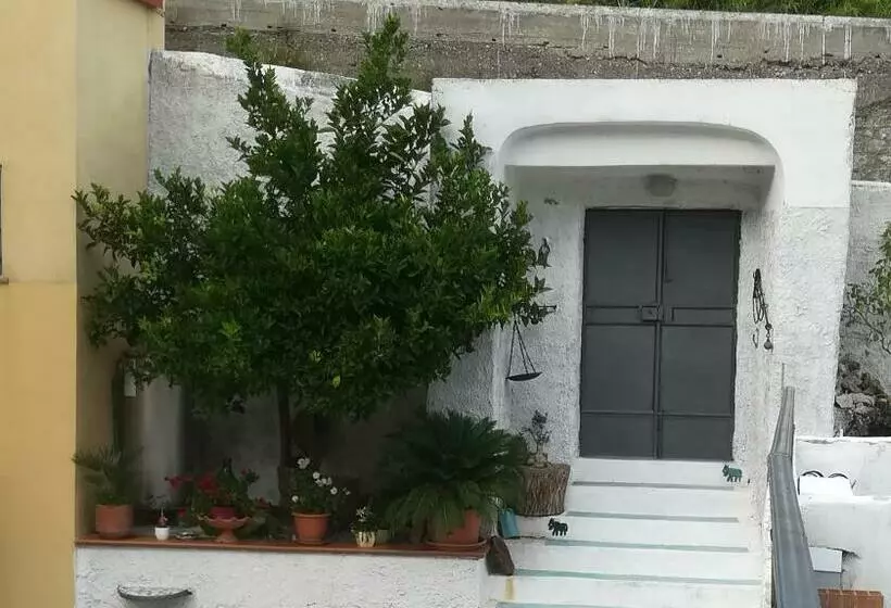 Aamiaismajoitus (B&B) Il Covo Delle Civette