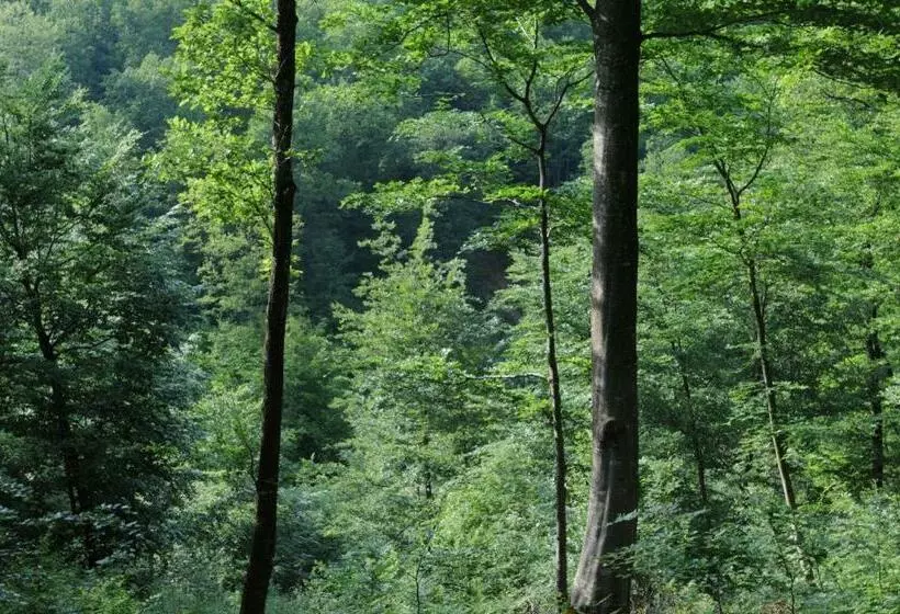 Aamiaismajoitus (B&B) La Maison Du Bûcheron