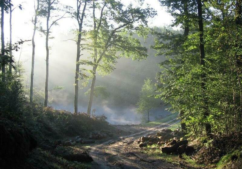 민박 La Maison Du Bûcheron