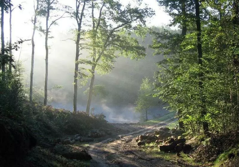 Aamiaismajoitus (B&B) La Maison Du Bûcheron