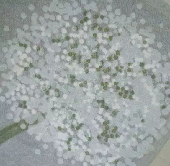 Majatalo Nekeczki Vendégház