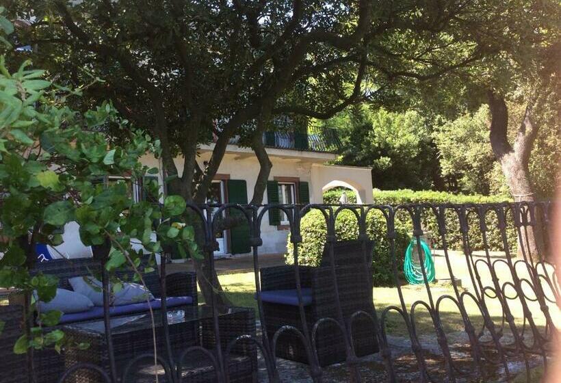 Bed and Breakfast D Ago48