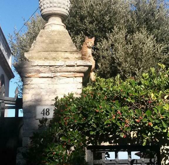 Bed and Breakfast D Ago48