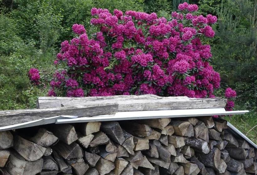 مبيت وإفطار Le Jolis Bois