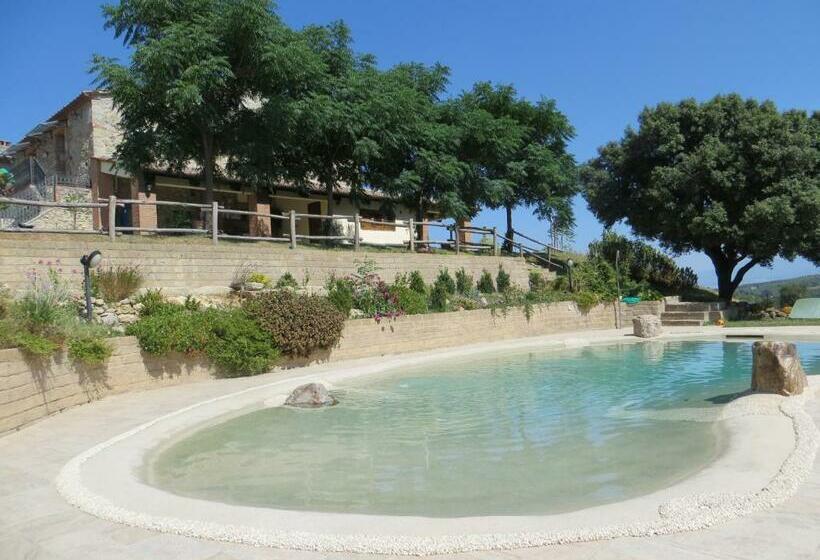 בית מלון כפרי Agriturismo L Alba