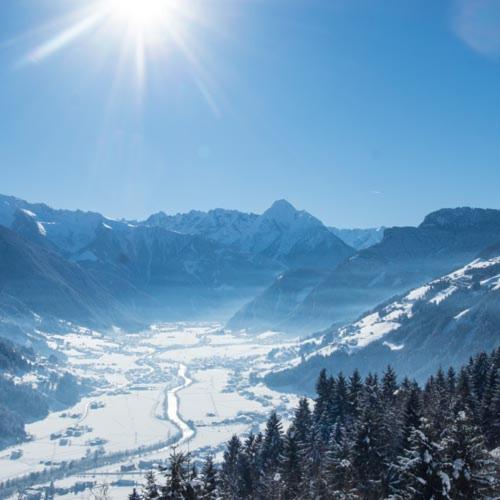 ペンション Herzl Hof