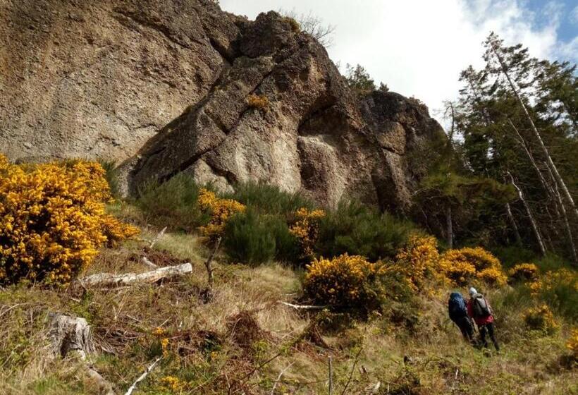 膳宿费 Sunrise House