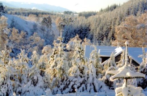 膳宿费 Sunrise House