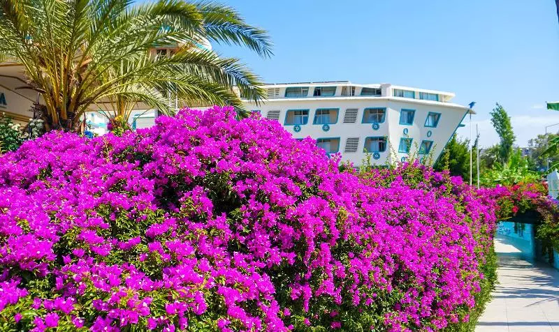 渡假胜地  Daima Biz Hotel   Dolusu Aquapark Access