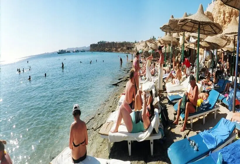 Dive Inn Resort
