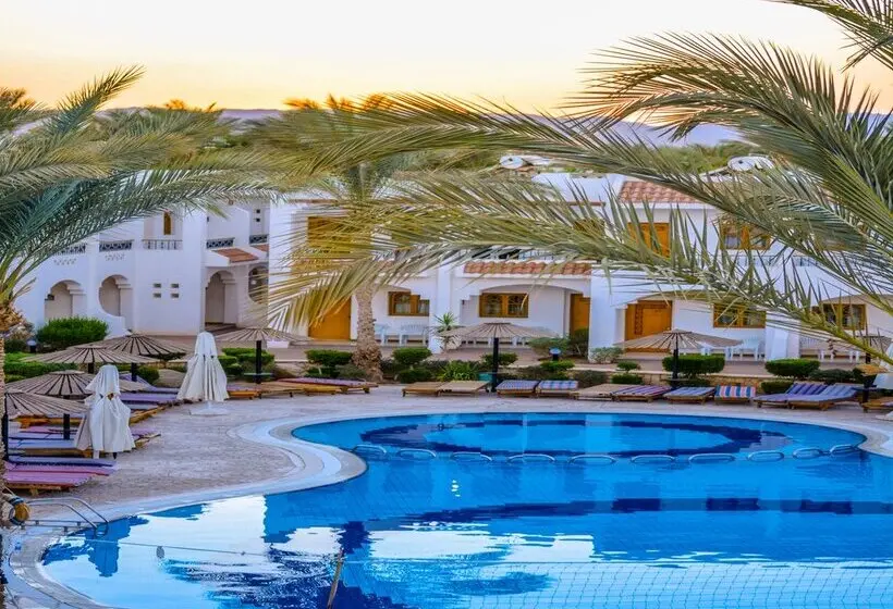 Dive Inn Resort