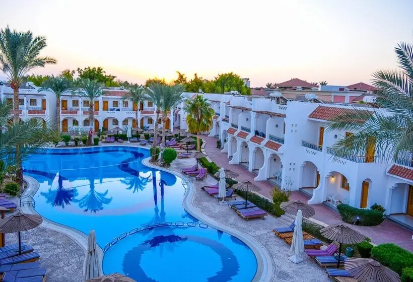 Dive Inn Resort