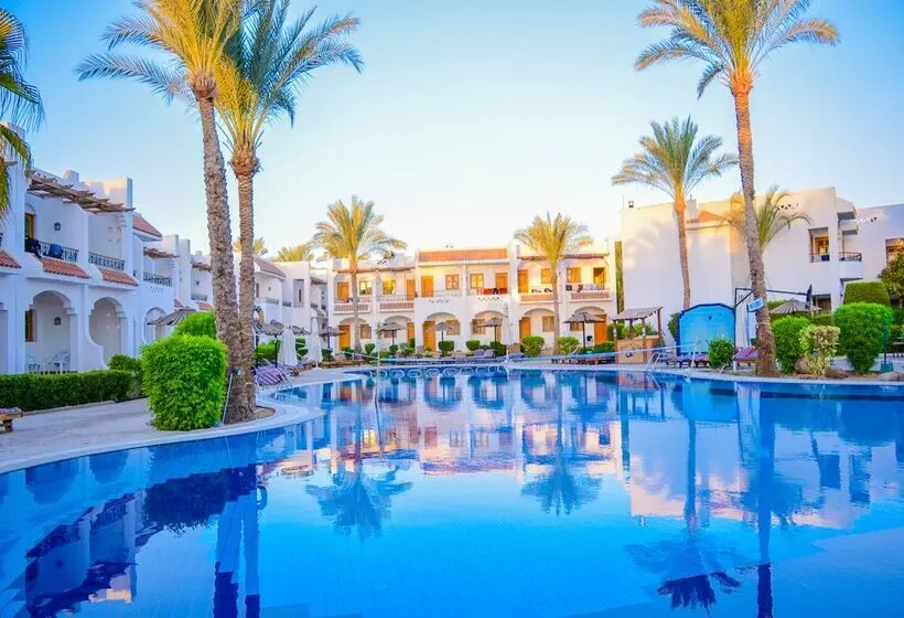 Dive Inn Resort