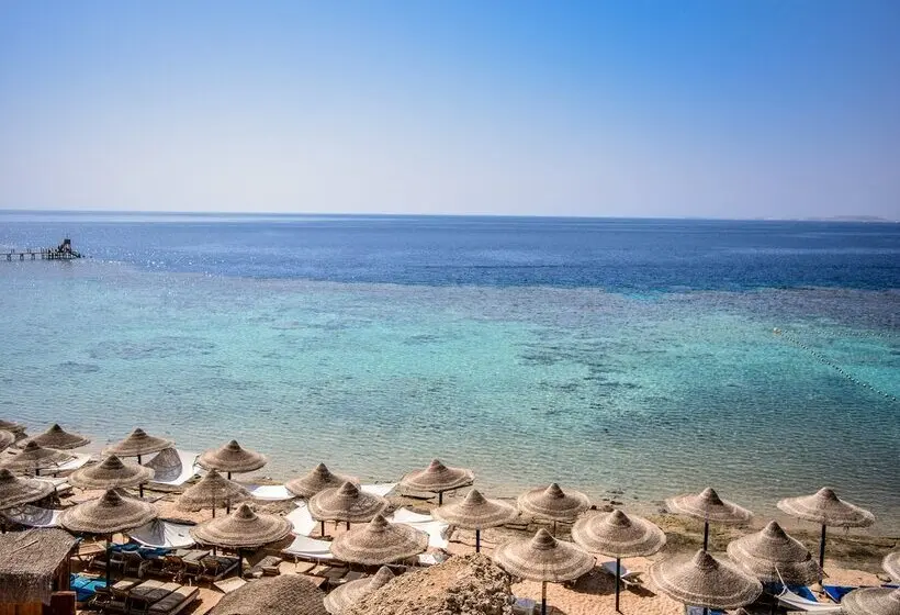 Dive Inn Resort