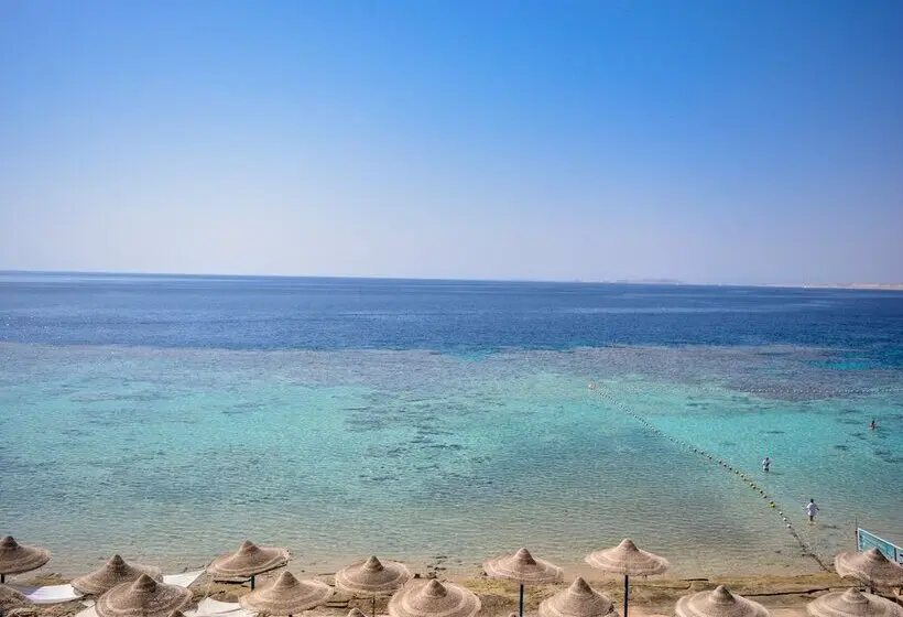 Dive Inn Resort