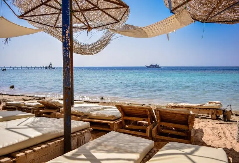Dive Inn Resort