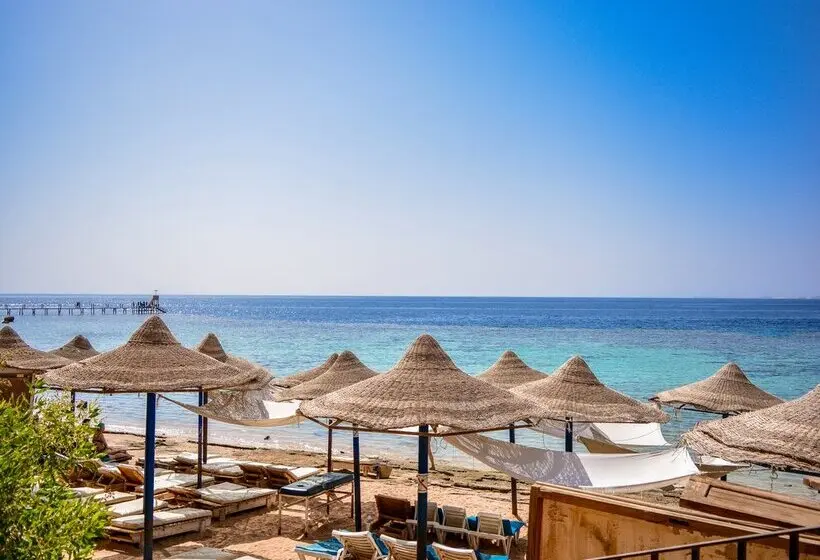 Dive Inn Resort