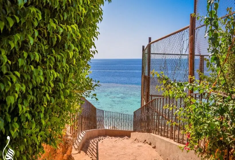 Dive Inn Resort