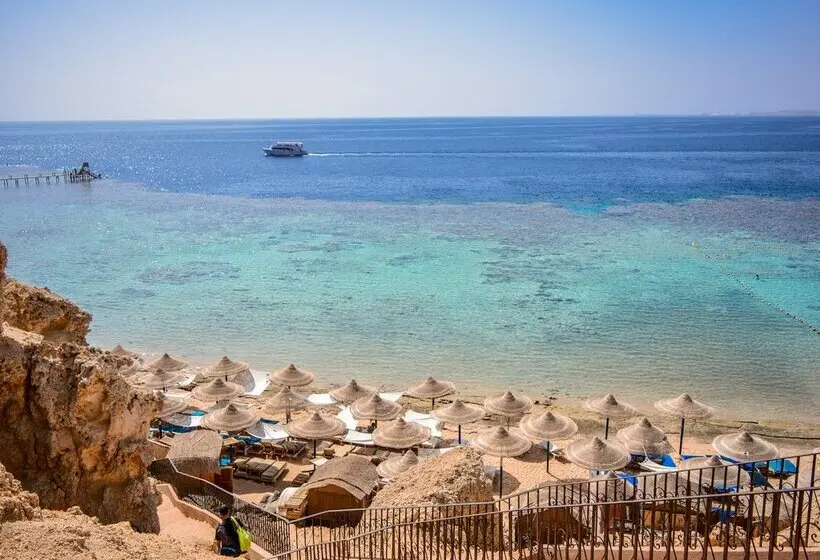 Dive Inn Resort