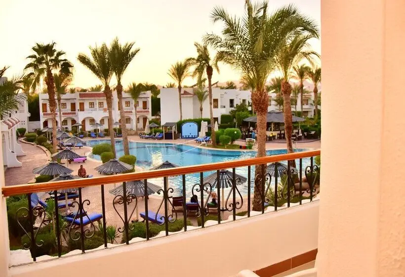 Dive Inn Resort