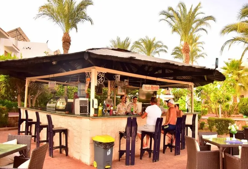 Dive Inn Resort