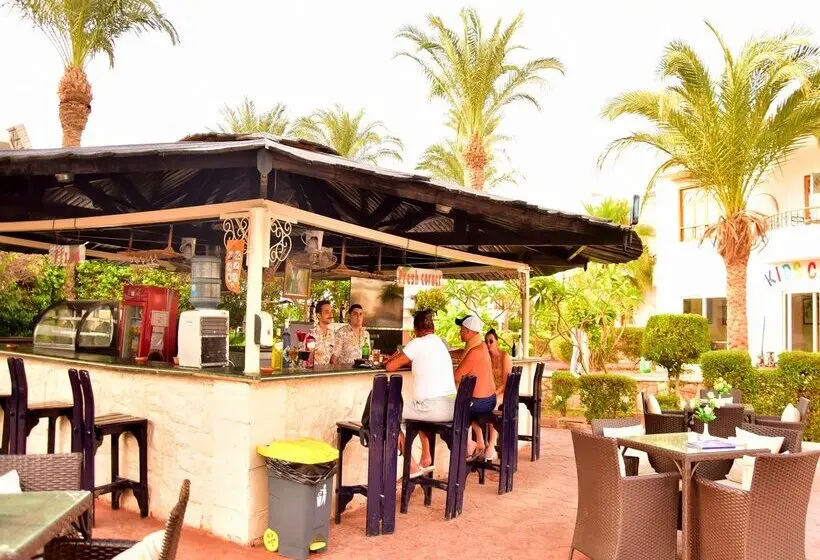 Dive Inn Resort