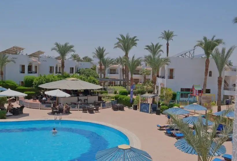 Dive Inn Resort