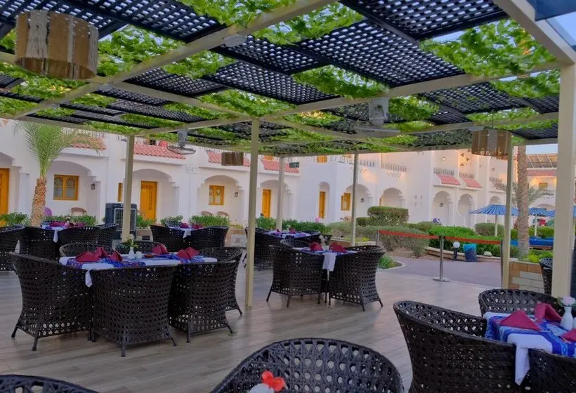 Dive Inn Resort