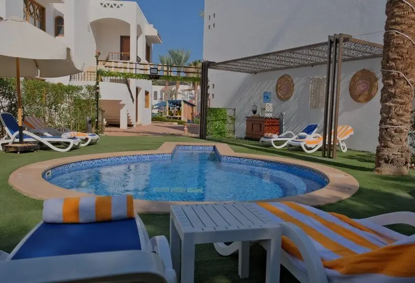 Dive Inn Resort