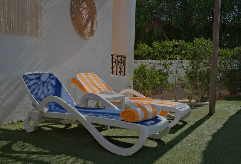Dive Inn Resort