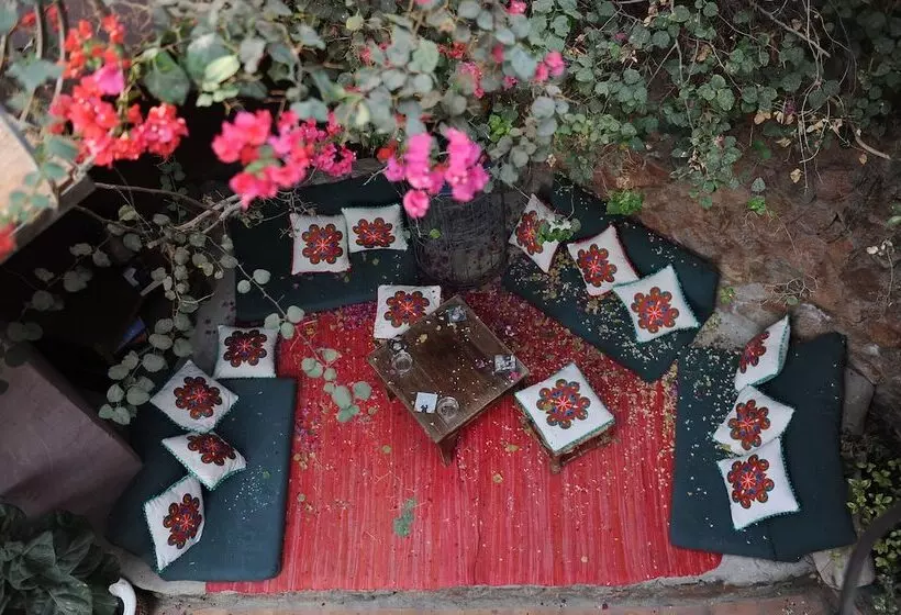 Hotel Alf Leila Boutique