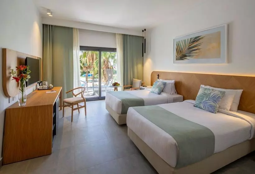 ホテル Amphoras Beach   Ultra All Inclusive