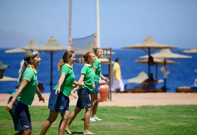 ホテル Amphoras Beach   Ultra All Inclusive