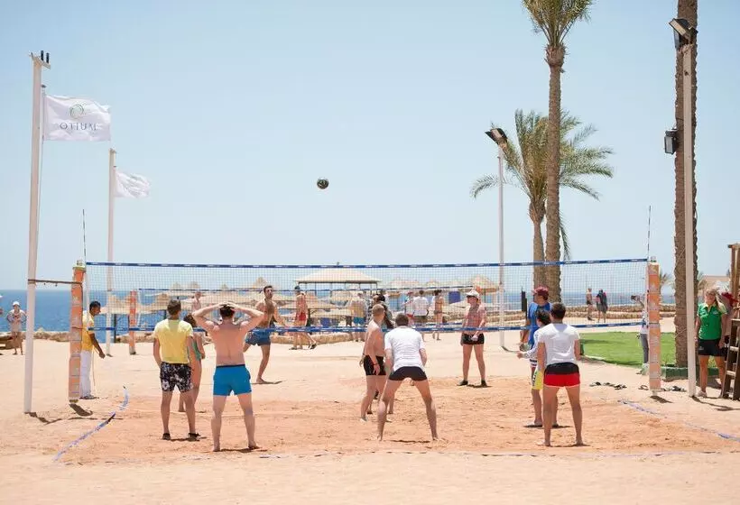 ホテル Amphoras Beach   Ultra All Inclusive