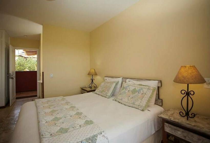 בית מלון כפרי Bon Bini Pousada