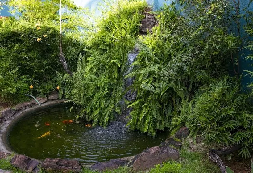 בית מלון כפרי Castelo Inn