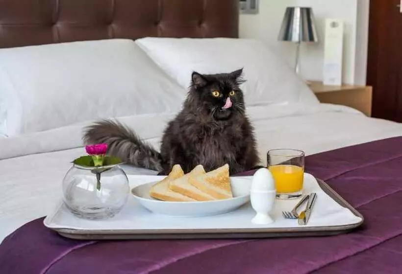 酒店 Jumeirah Living World Trade Centre Dubai